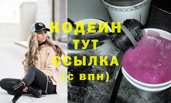 apvp Бородино