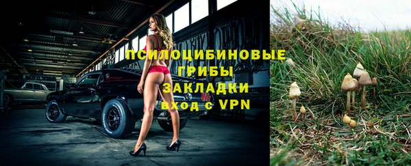 твердый Бронницы
