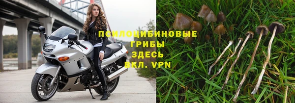 apvp Бородино