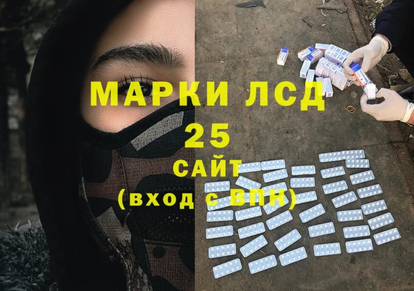 apvp Бородино