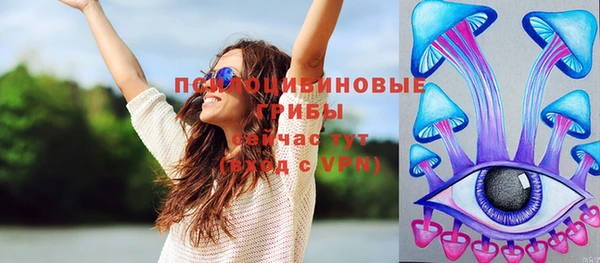 apvp Бородино