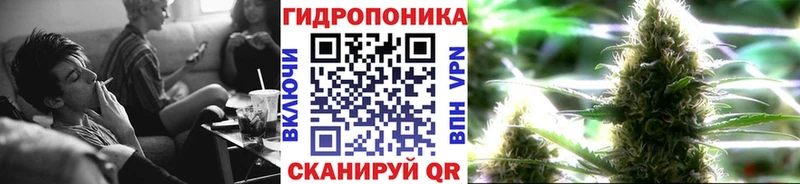 магазин продажи наркотиков  Владимир  KRAKEN ССЫЛКА  Конопля тримм 